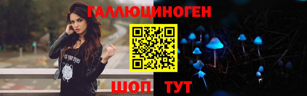 Галлюциногенные грибы прущие грибы  Вход с VPN  Ахтубинск 